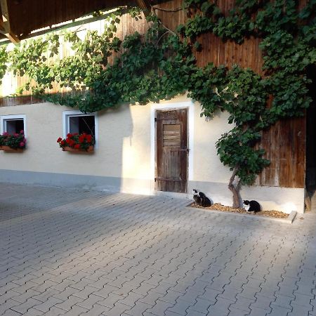 Landhof Ella - Ferienhaus Vor Den Toren Salzburgs Petting ภายนอก รูปภาพ
