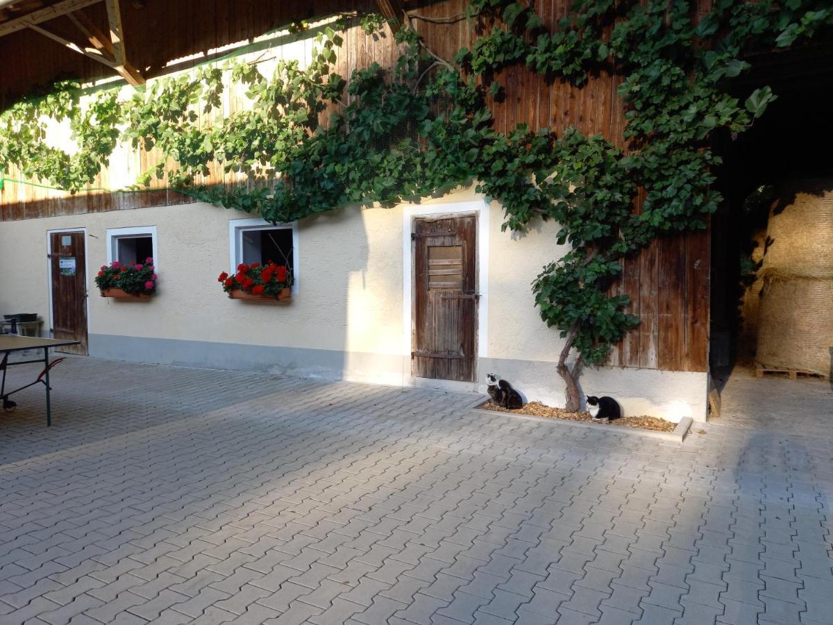 Landhof Ella - Ferienhaus Vor Den Toren Salzburgs Petting ภายนอก รูปภาพ