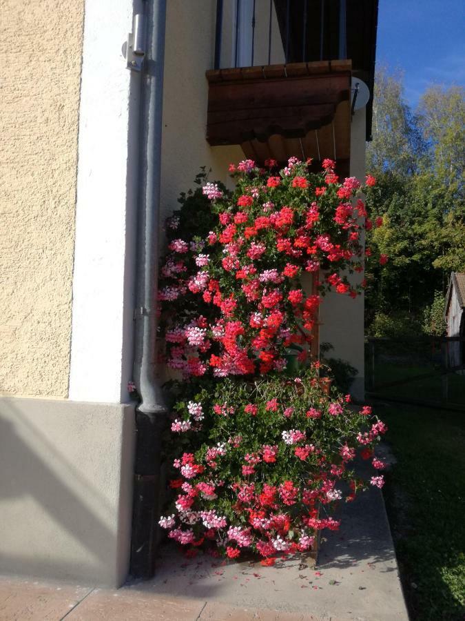 Landhof Ella - Ferienhaus Vor Den Toren Salzburgs Petting ภายนอก รูปภาพ