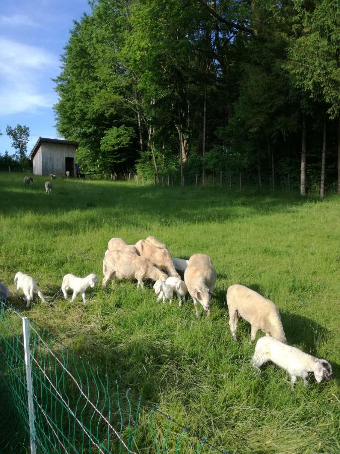 Landhof Ella - Ferienhaus Vor Den Toren Salzburgs Petting ภายนอก รูปภาพ