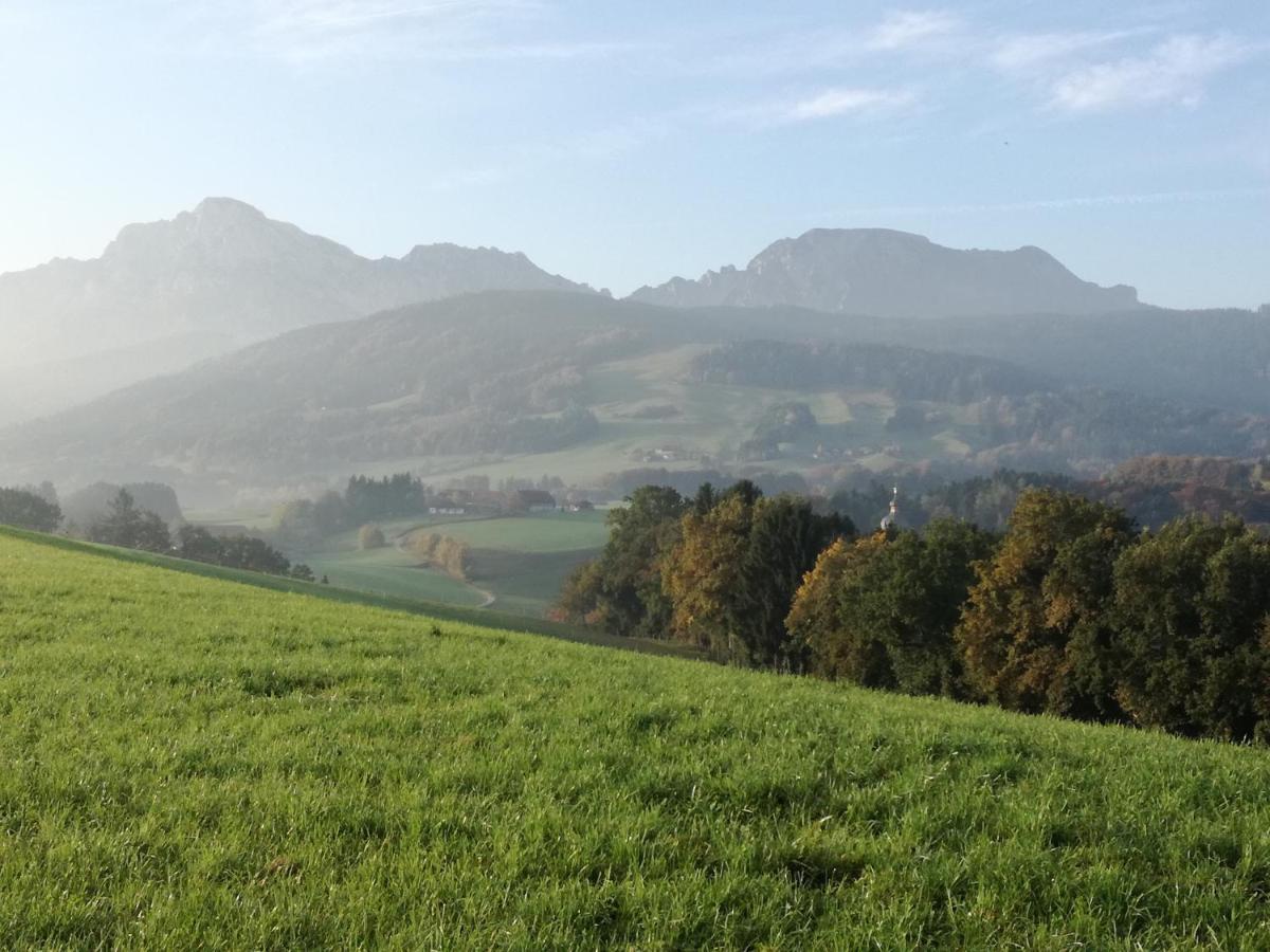 Landhof Ella - Ferienhaus Vor Den Toren Salzburgs Petting ภายนอก รูปภาพ